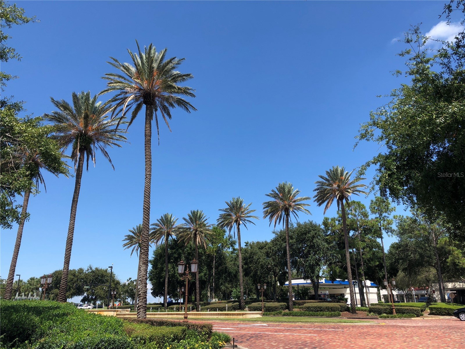 7065 Westpointe Boulevard #203 Orlando FL 32835 O6375354 image5