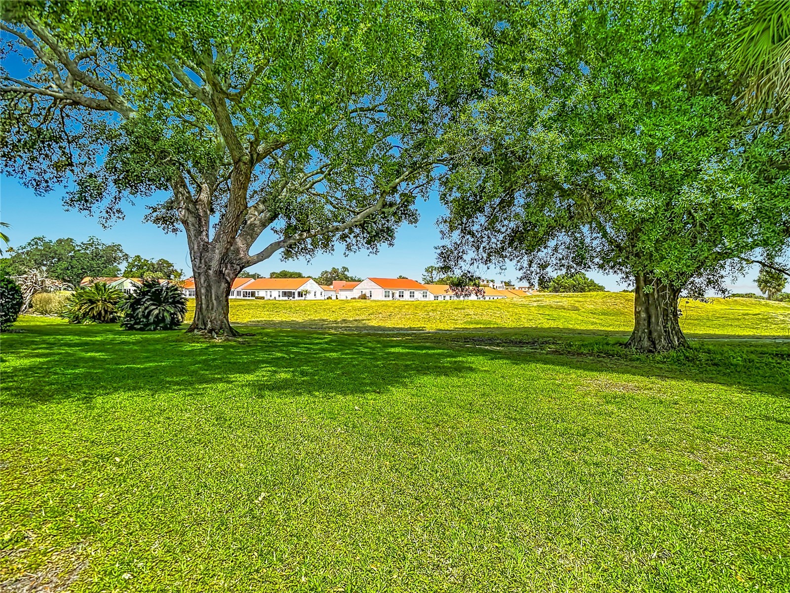 707 Carpenters Way #35 Lakeland FL 33809 L4961417 image56