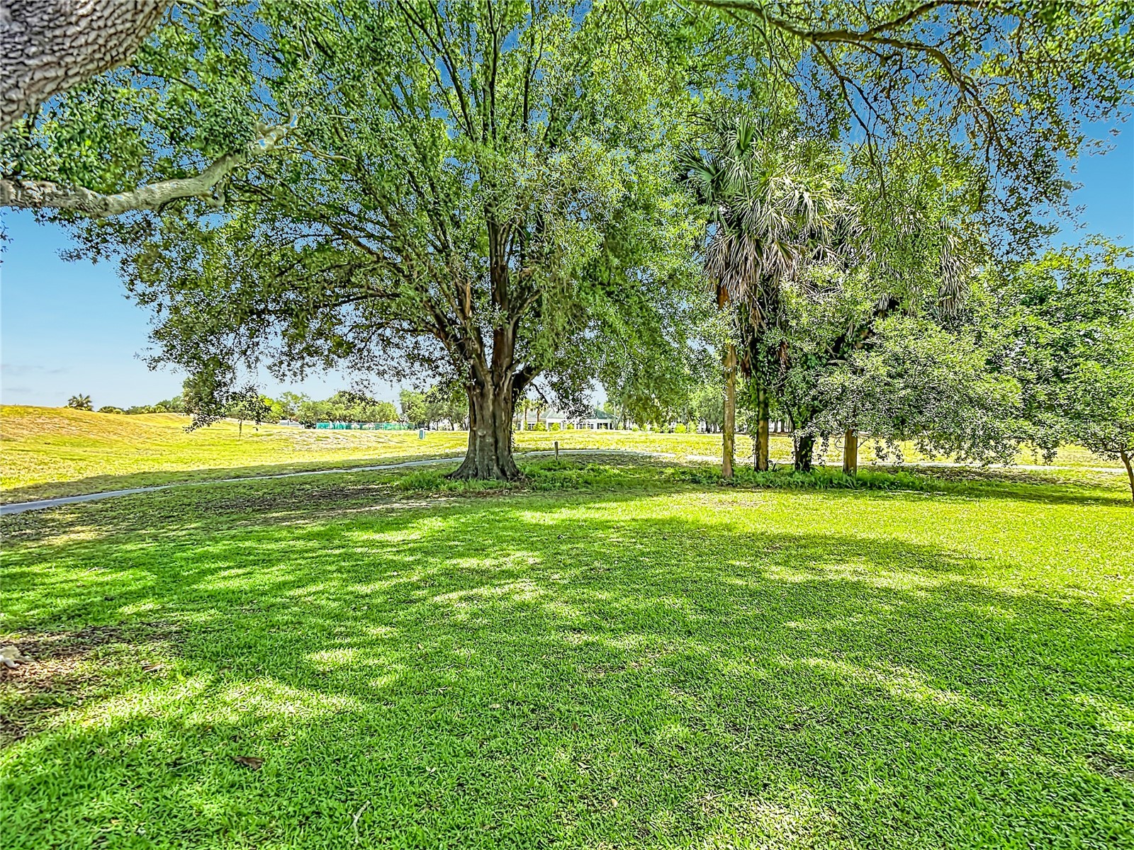 707 Carpenters Way #35 Lakeland FL 33809 L4961417 image59