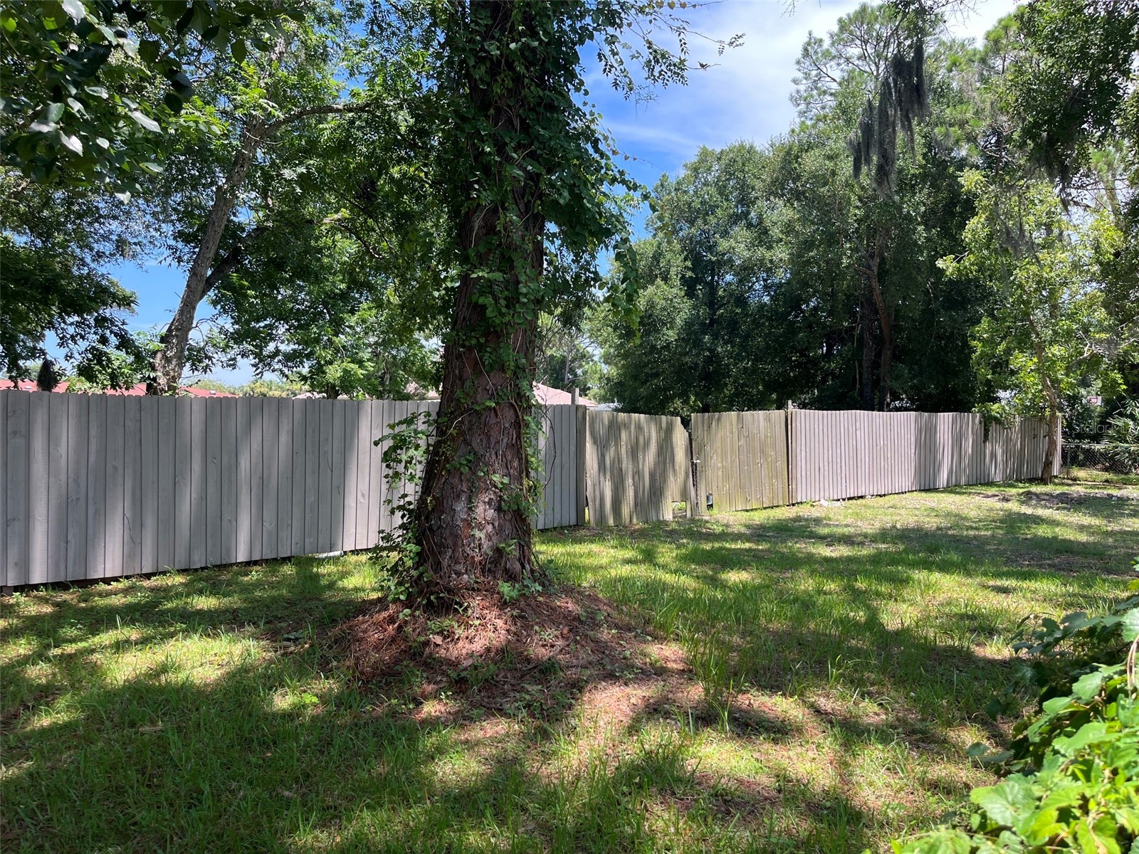 707 Cherry Street New Smyrna Beach FL 32168 NS1088763 image4