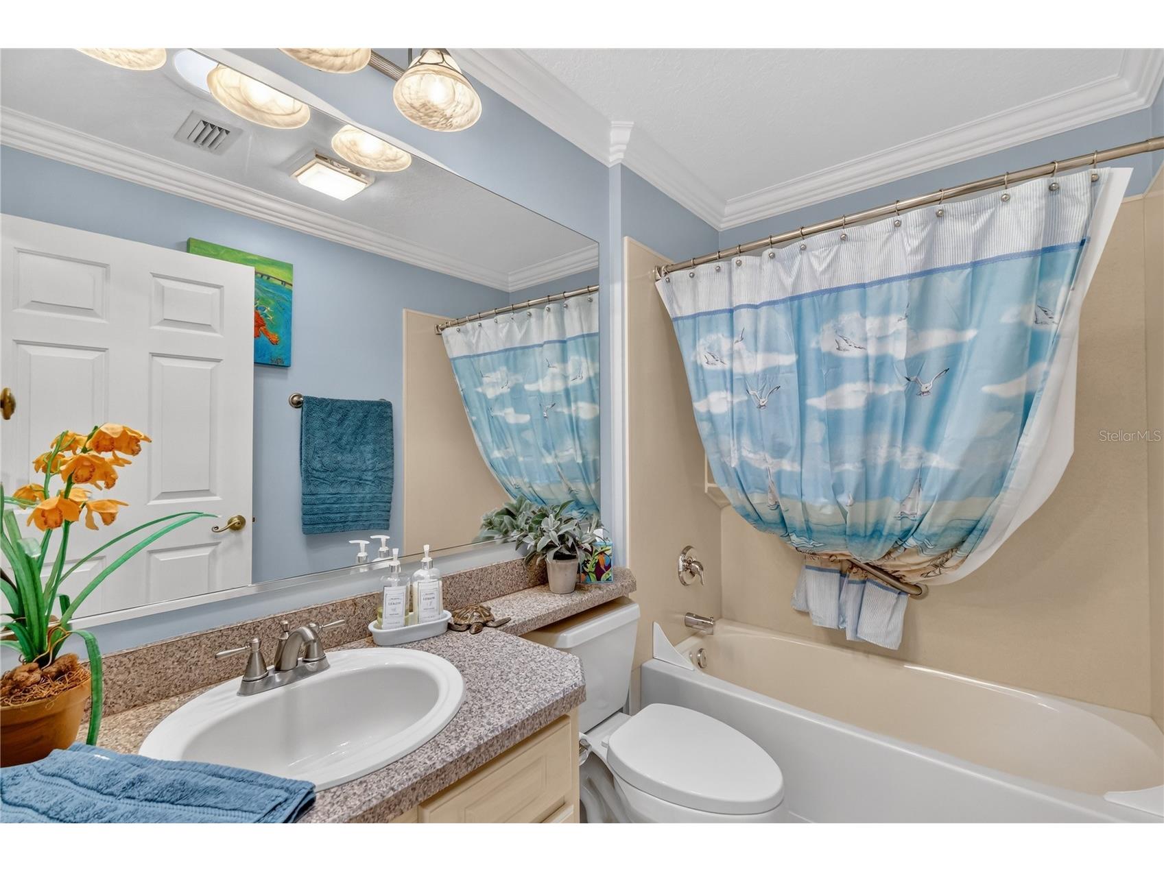707 Cortez Avenue The Villages FL 32159 G5109433 image26