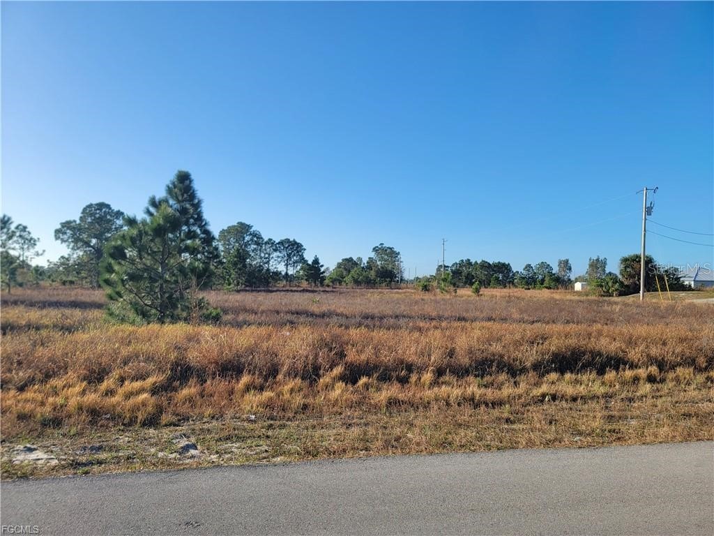 707 Frontenac Avenue S Lehigh Acres FL 33974 O6398740 image2