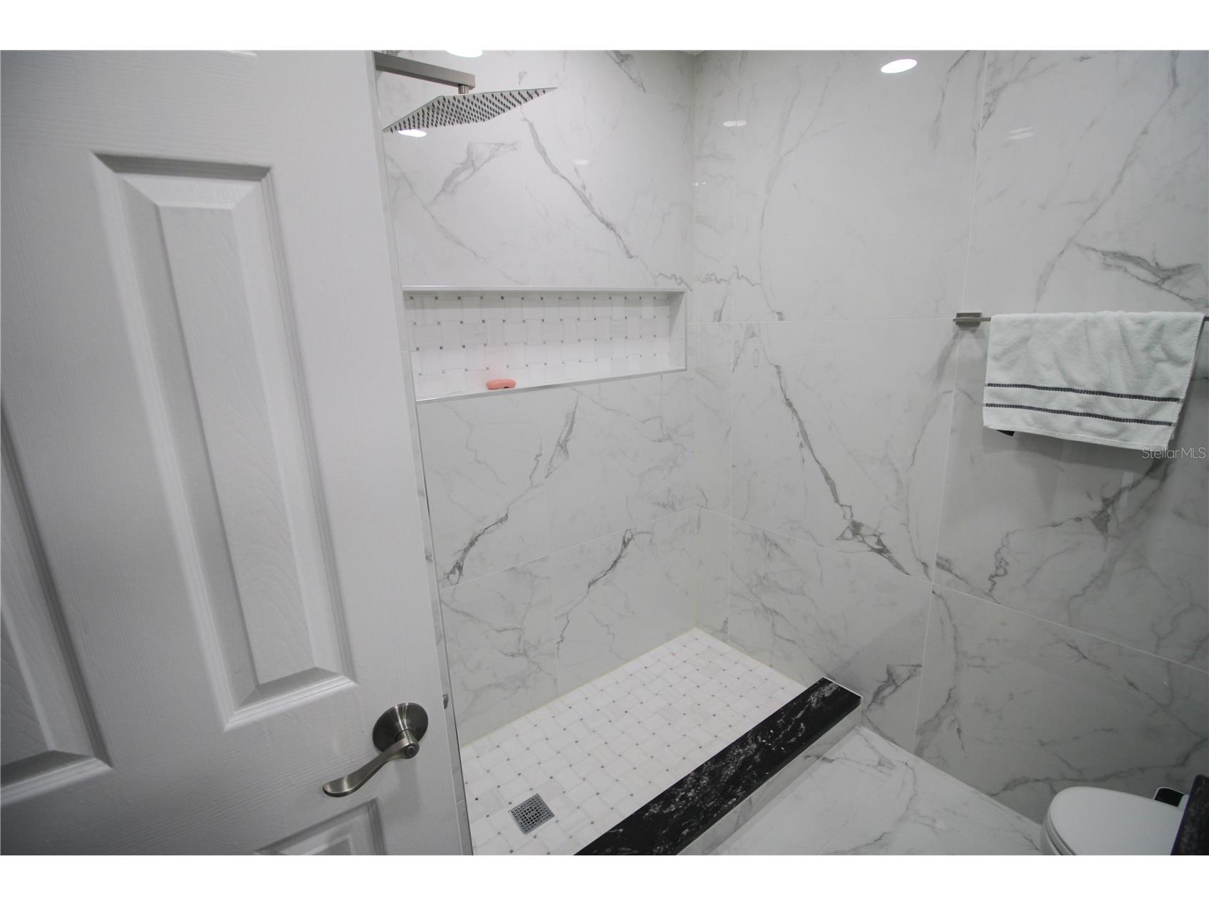 707 Innergary Place Valrico FL 33594 TB8519696 image20