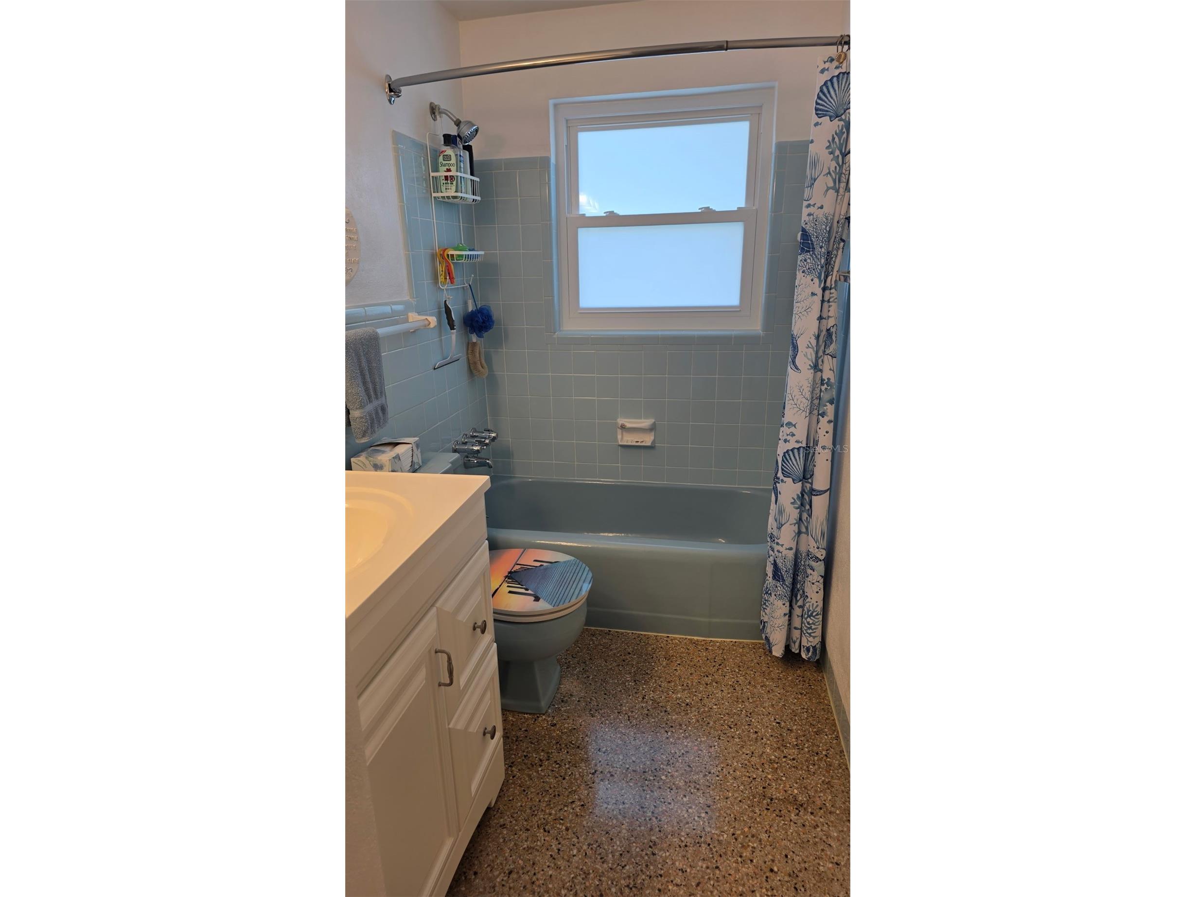 707 Jane Avenue New Smyrna Beach FL 32168 NS1087599 image7