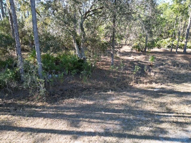 707 Laguna Drive Indian Lake Estates FL 33855 L4959811 image5