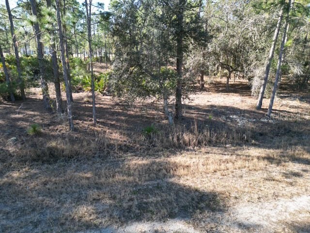 707 Laguna Drive Indian Lake Estates FL 33855 L4959811 image6