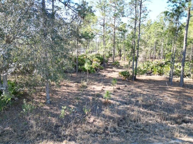 707 Laguna Drive Indian Lake Estates FL 33855 L4959811 image7