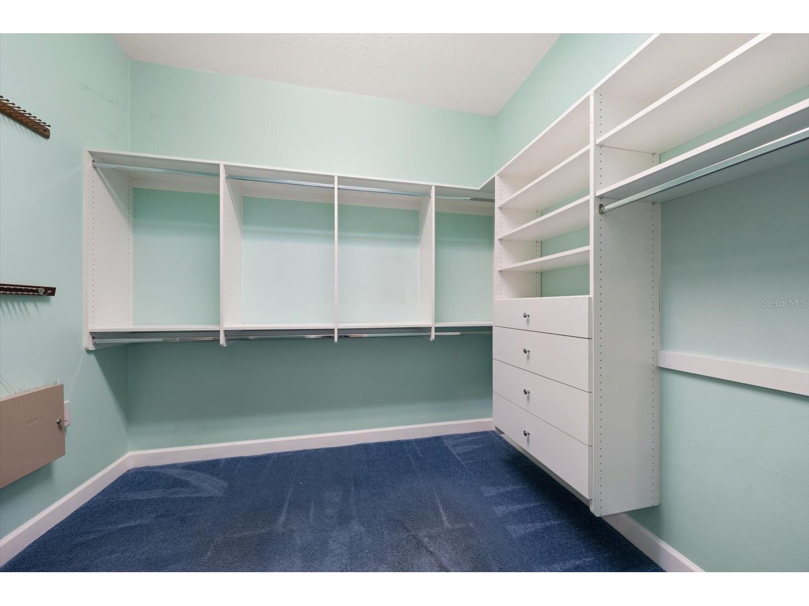 707 Lansden Court Tarpon Springs FL 34689 TB8483453 image26