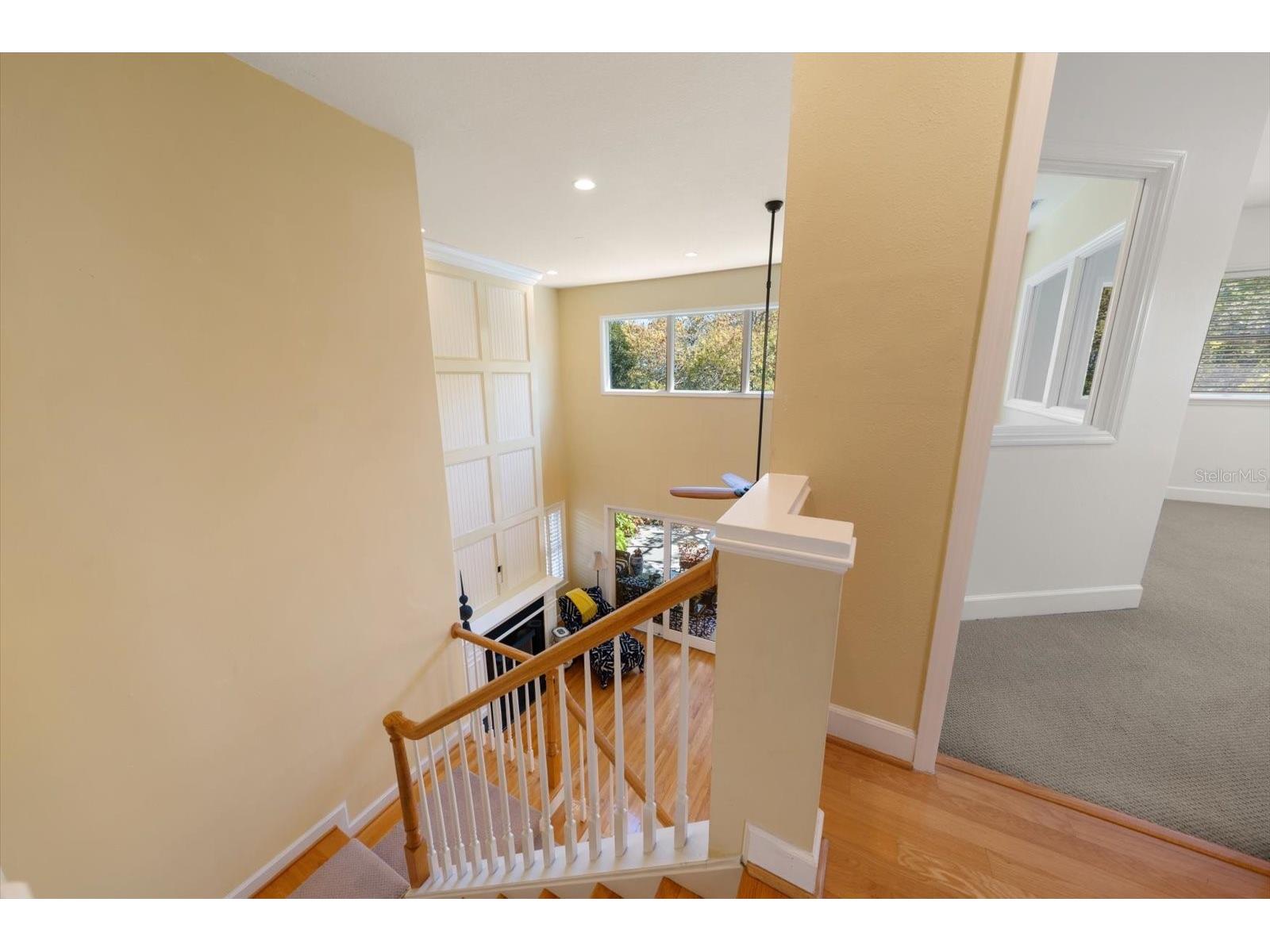 707 Lansden Court Tarpon Springs FL 34689 TB8483453 image31