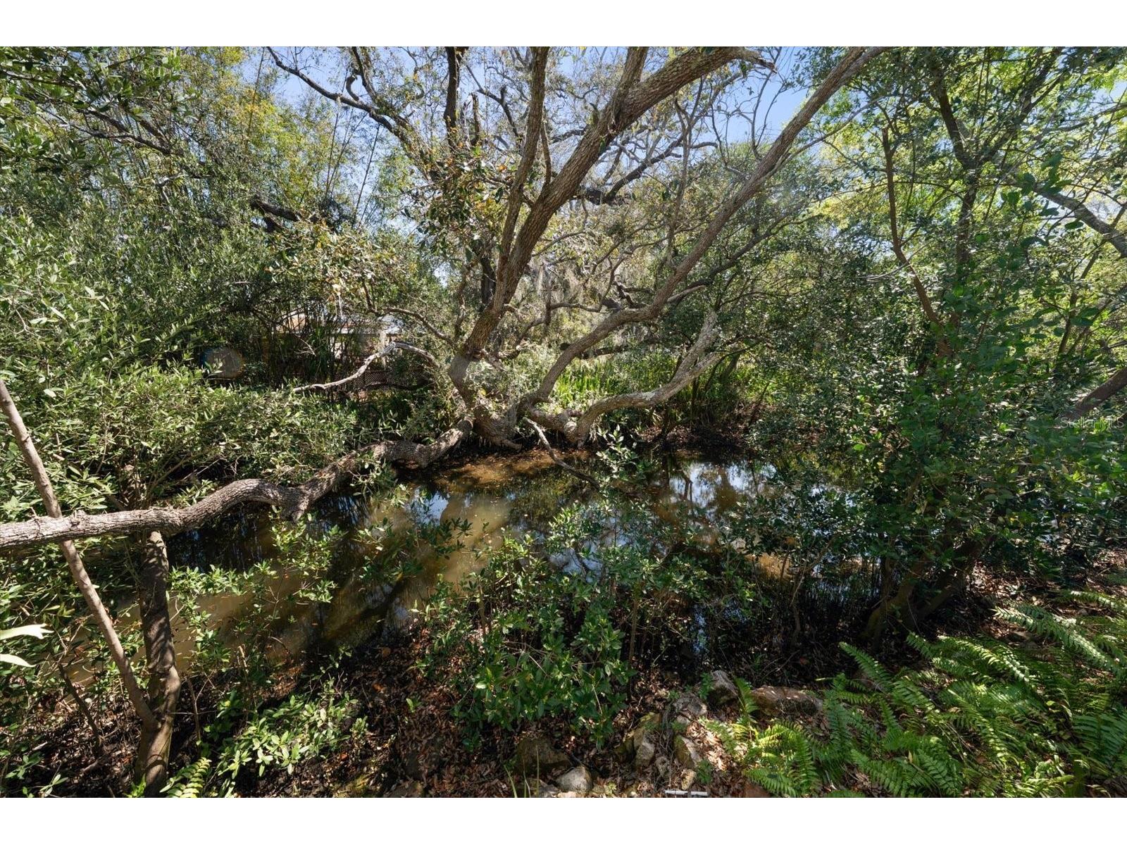 707 Lansden Court Tarpon Springs FL 34689 TB8483453 image42