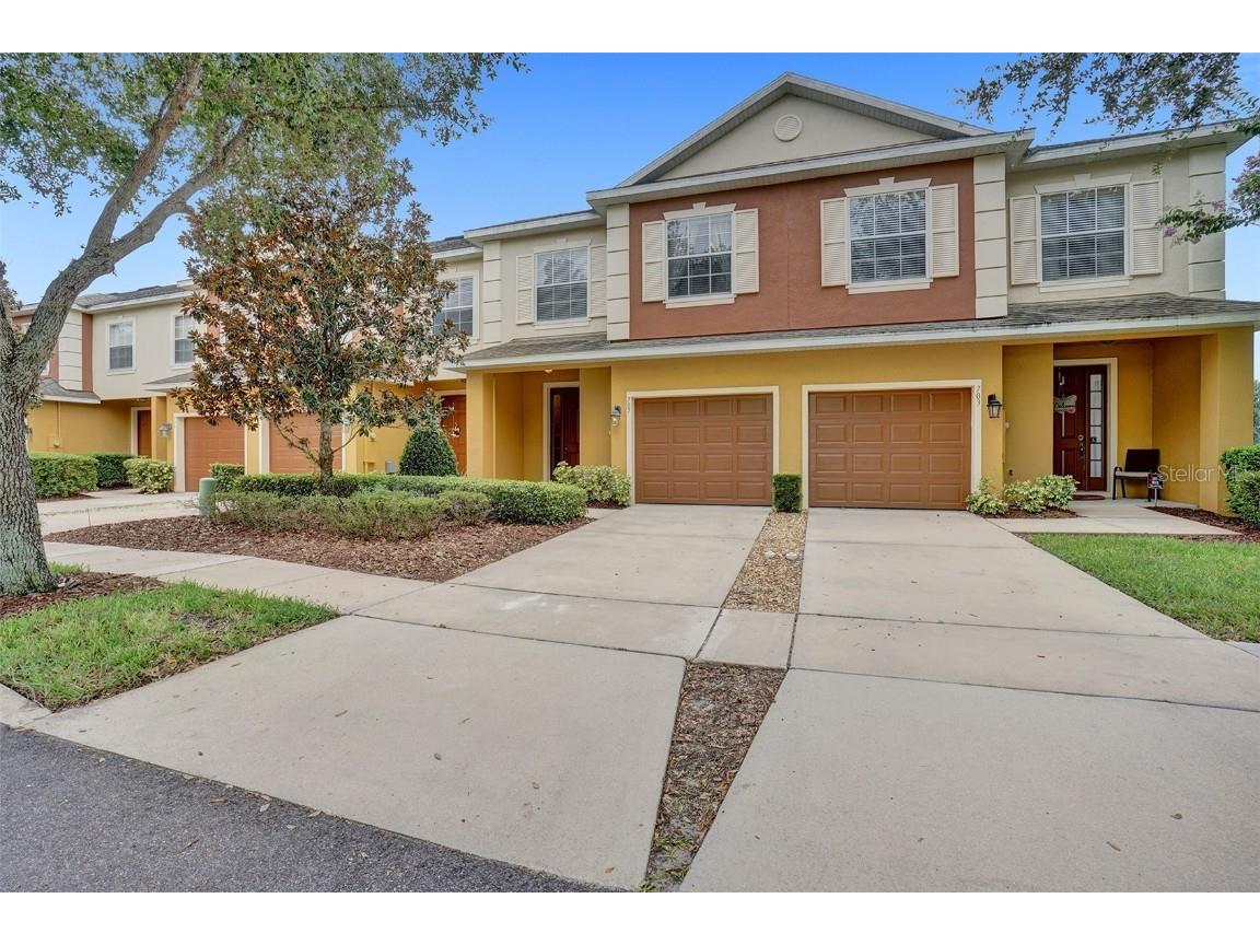 707 Marotta Loop Ocoee FL 34761 O6309087 image1