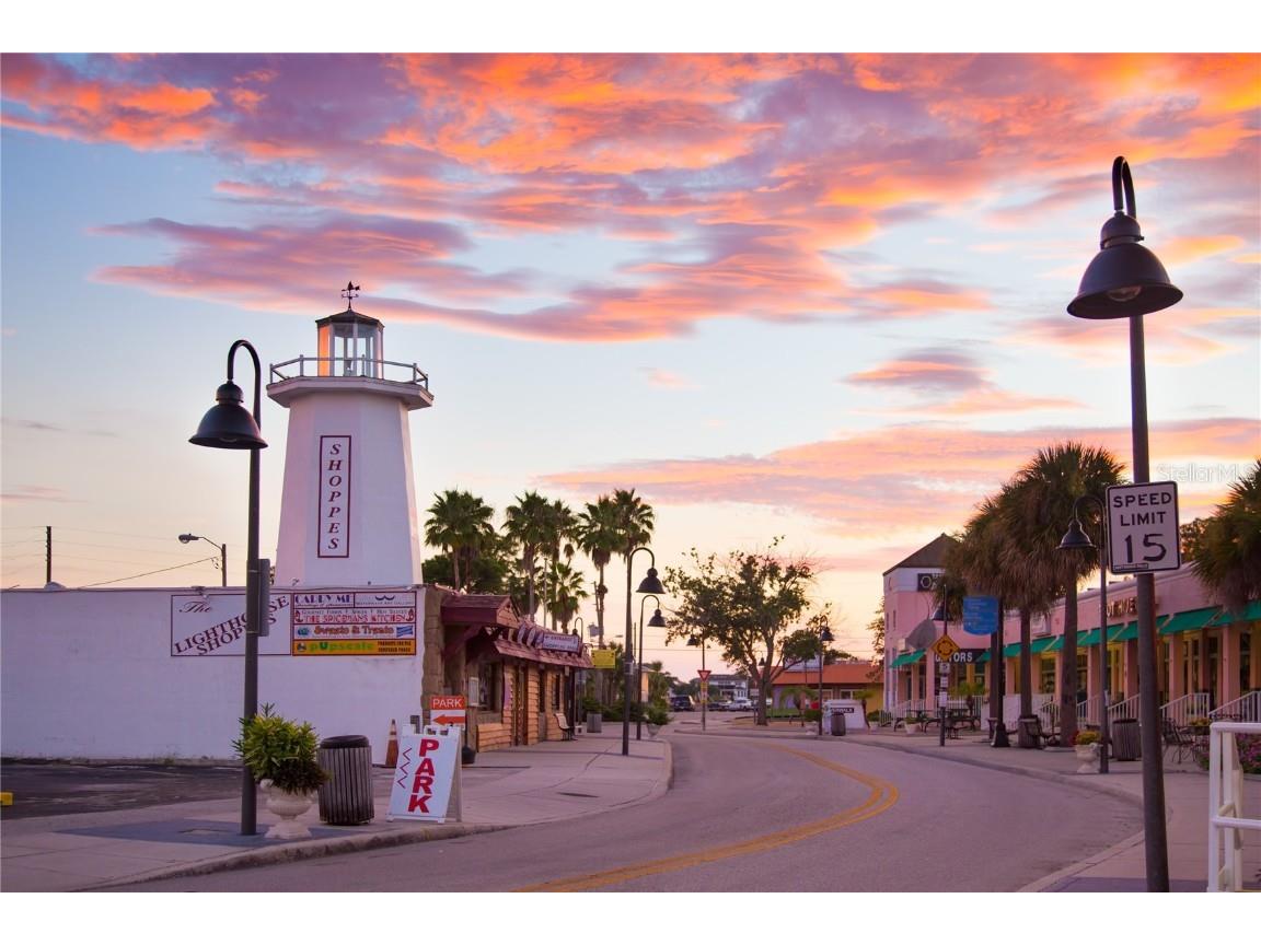 707 N Disston Avenue Tarpon Springs FL 34689 TB8446467 image61