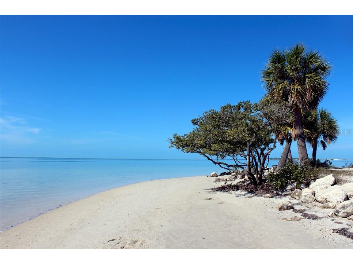 707 N Disston Avenue Tarpon Springs FL 34689 TB8446467 image62