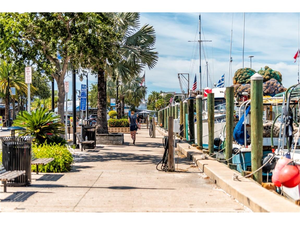 707 N Disston Avenue Tarpon Springs FL 34689 TB8446467 image66