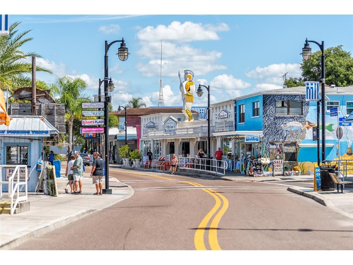 707 N Disston Avenue Tarpon Springs FL 34689 TB8446467 image67