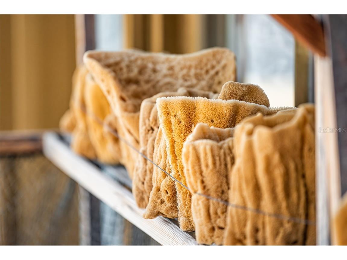 707 N Disston Avenue Tarpon Springs FL 34689 TB8446467 image68