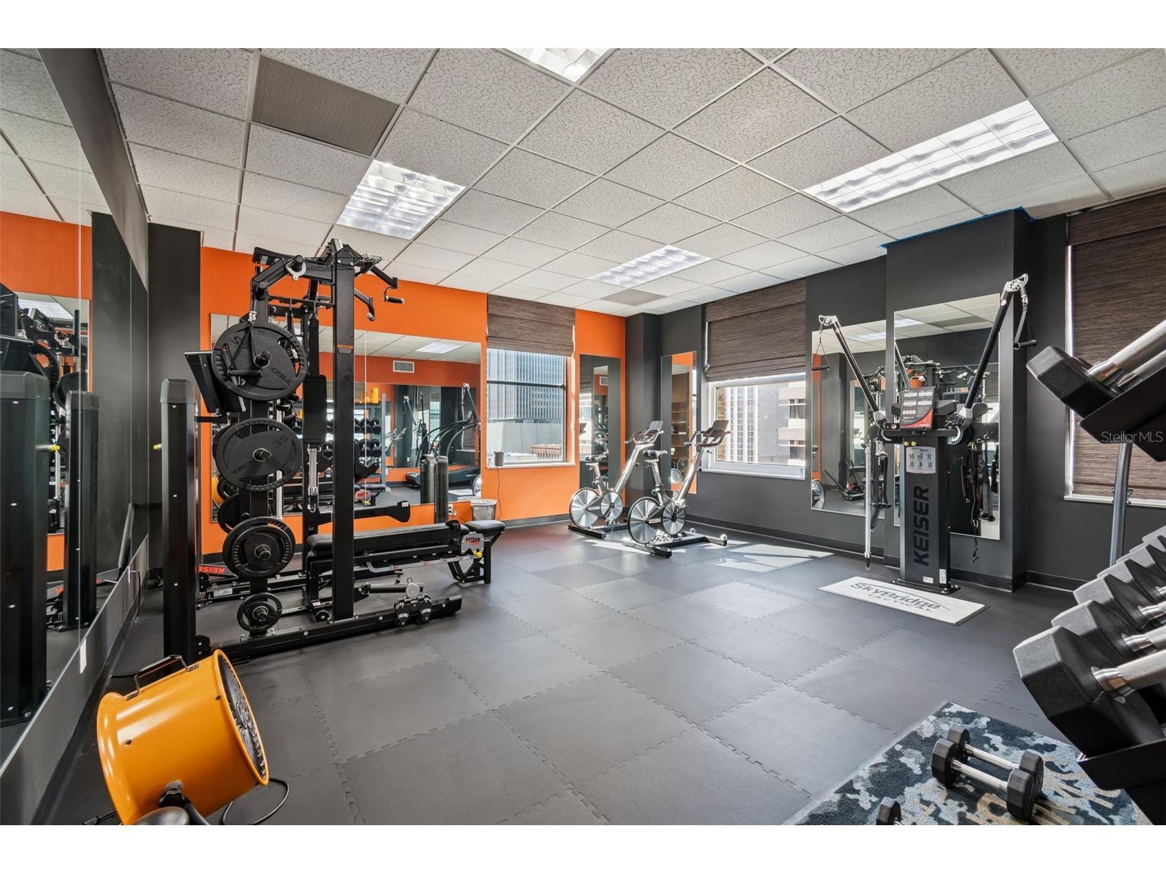 707 N Franklin Street #6 Tampa FL 33602 TB8471547 image16