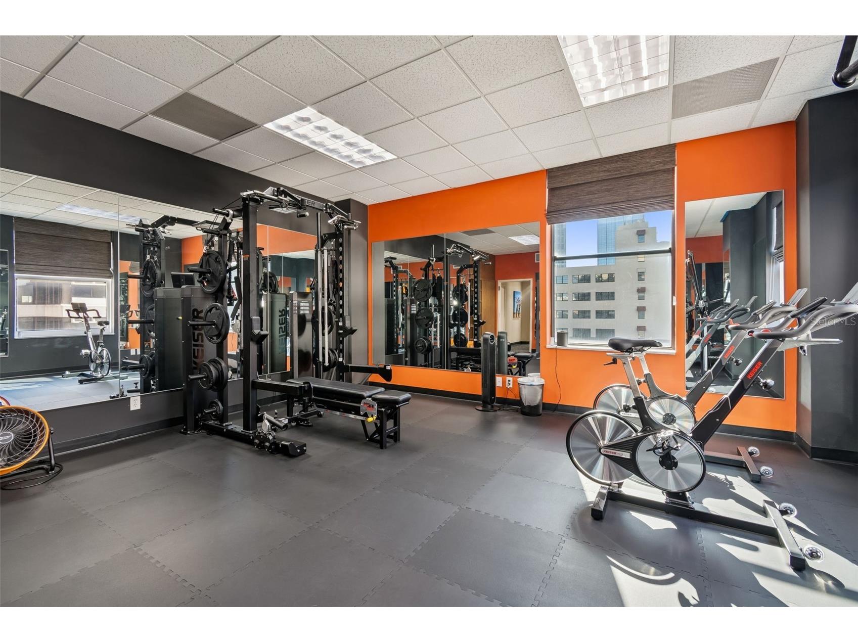707 N Franklin Street #6 Tampa FL 33602 TB8471547 image17