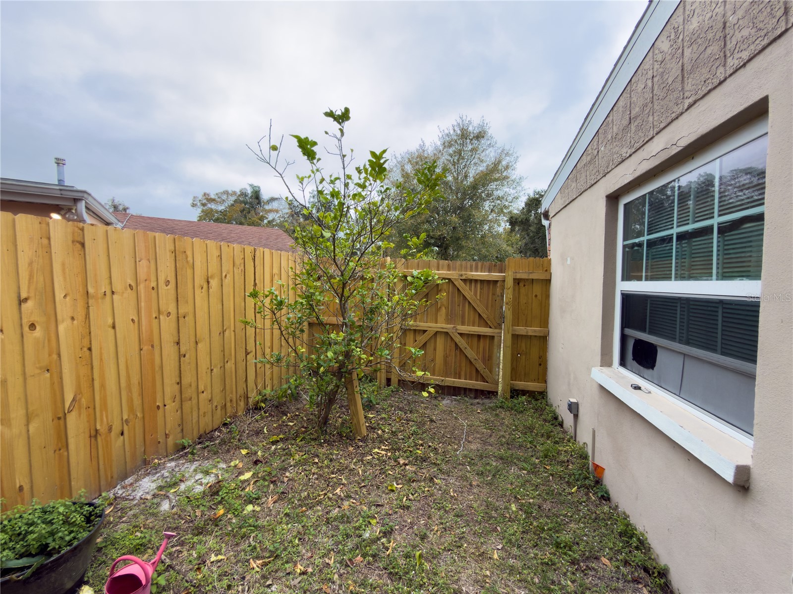 707 N Jefferson Avenue Clearwater FL 33755 TB8466732 image39