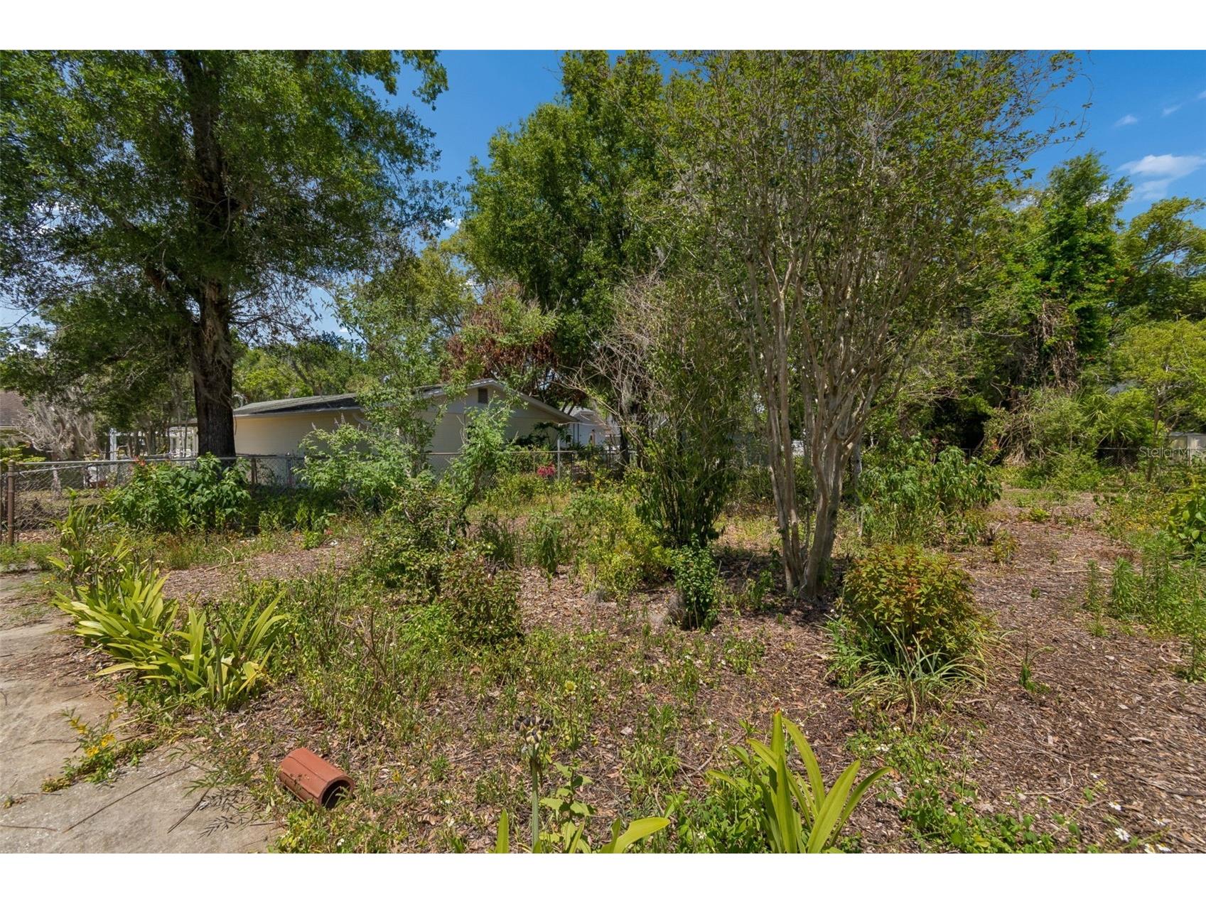 707 N Johnson Street Plant City FL 33563 TB8504765 image39
