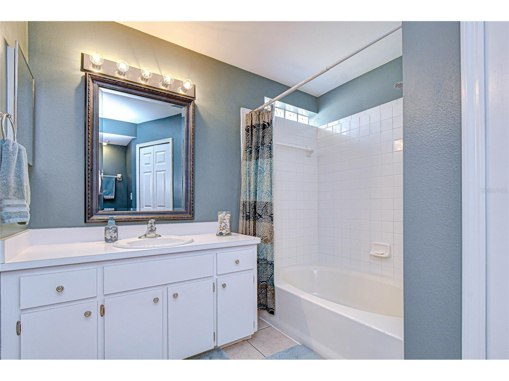 707 Orchard Isle Court Valrico FL 33594 TB8500539 image14