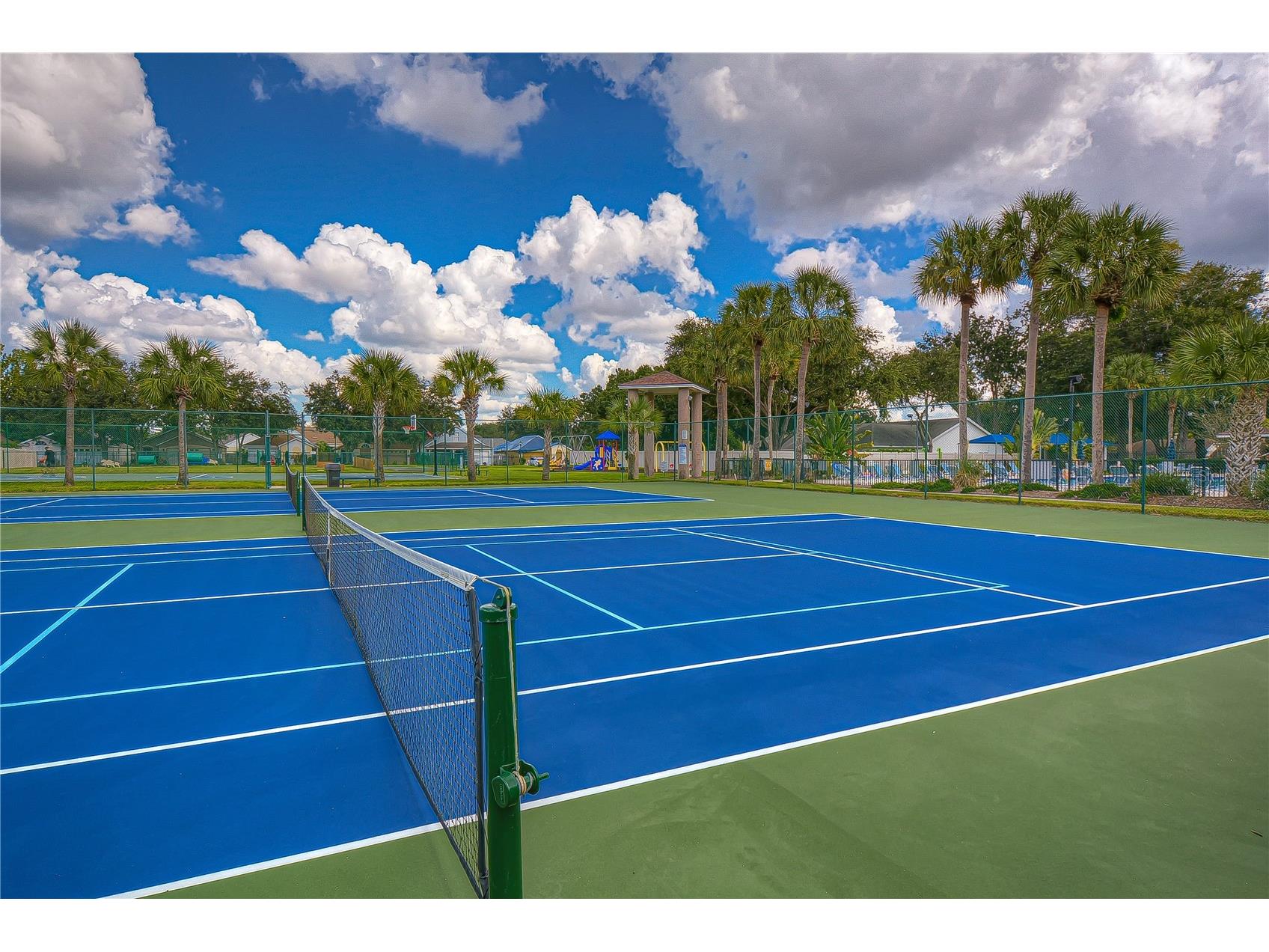 707 Orchard Isle Court Valrico FL 33594 TB8500539 image28