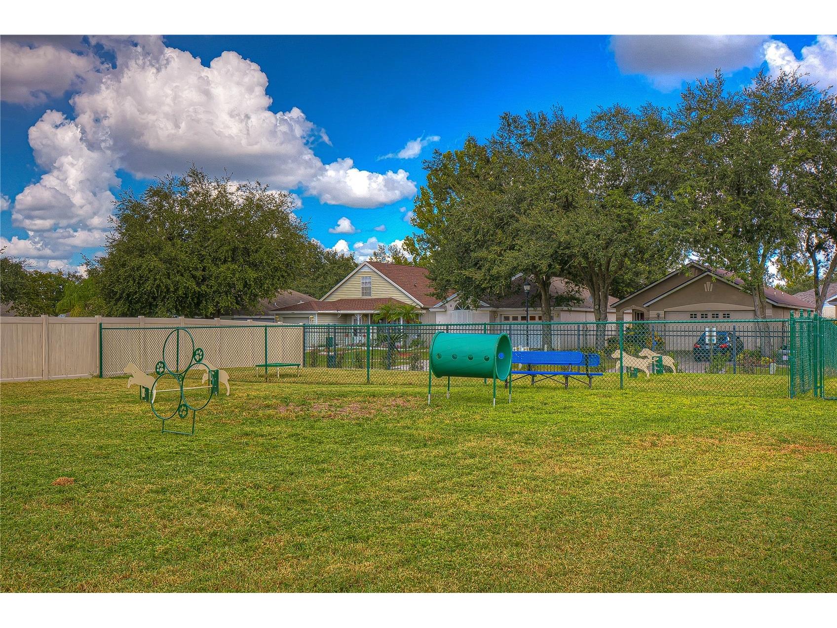 707 Orchard Isle Court Valrico FL 33594 TB8500539 image33