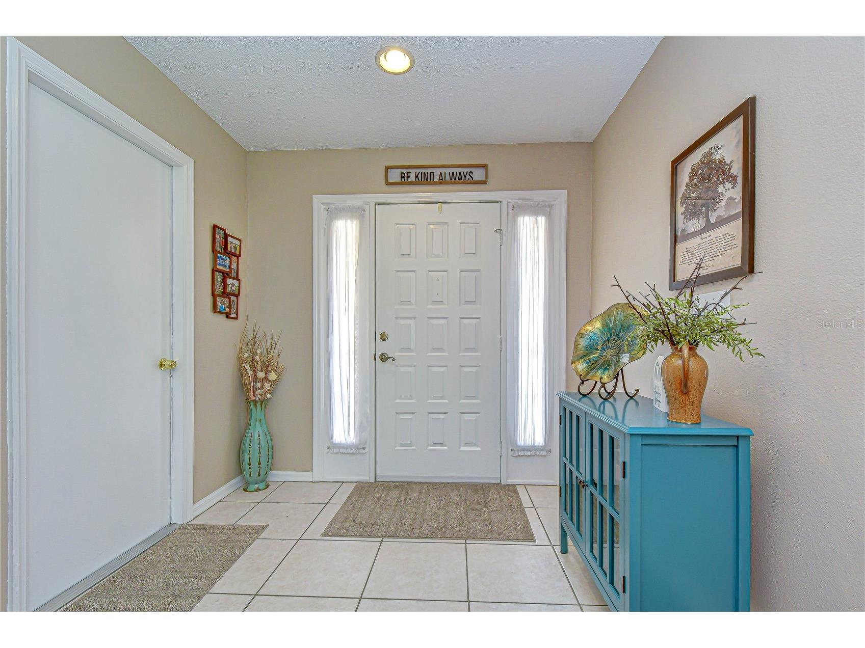 707 Orchard Isle Court Valrico FL 33594 TB8500539 image4