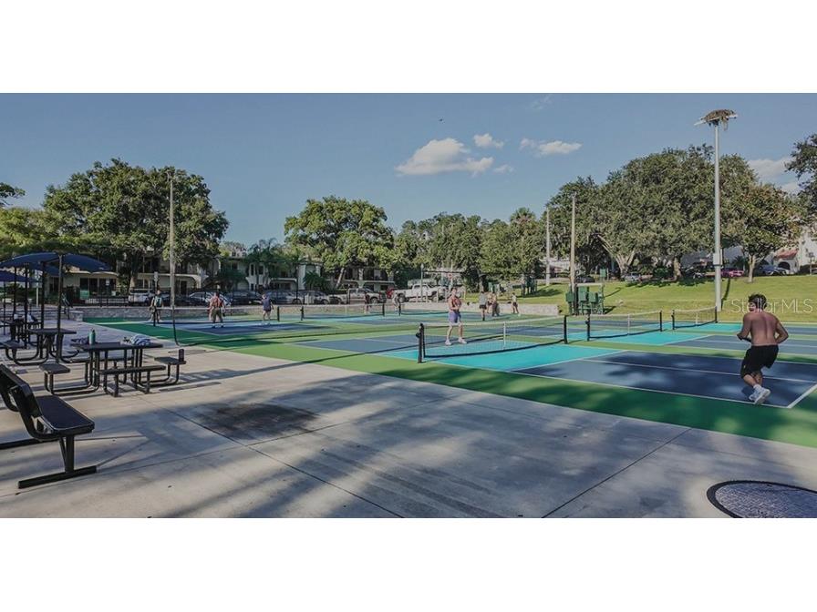 707 Perth Drive Mount Dora FL 32757 O6369374 image16