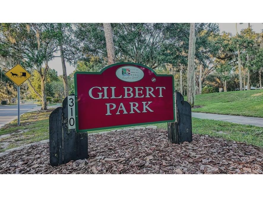 707 Perth Drive Mount Dora FL 32757 O6369374 image19
