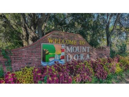 707 Perth Drive Mount Dora FL 32757 O6369374 image20