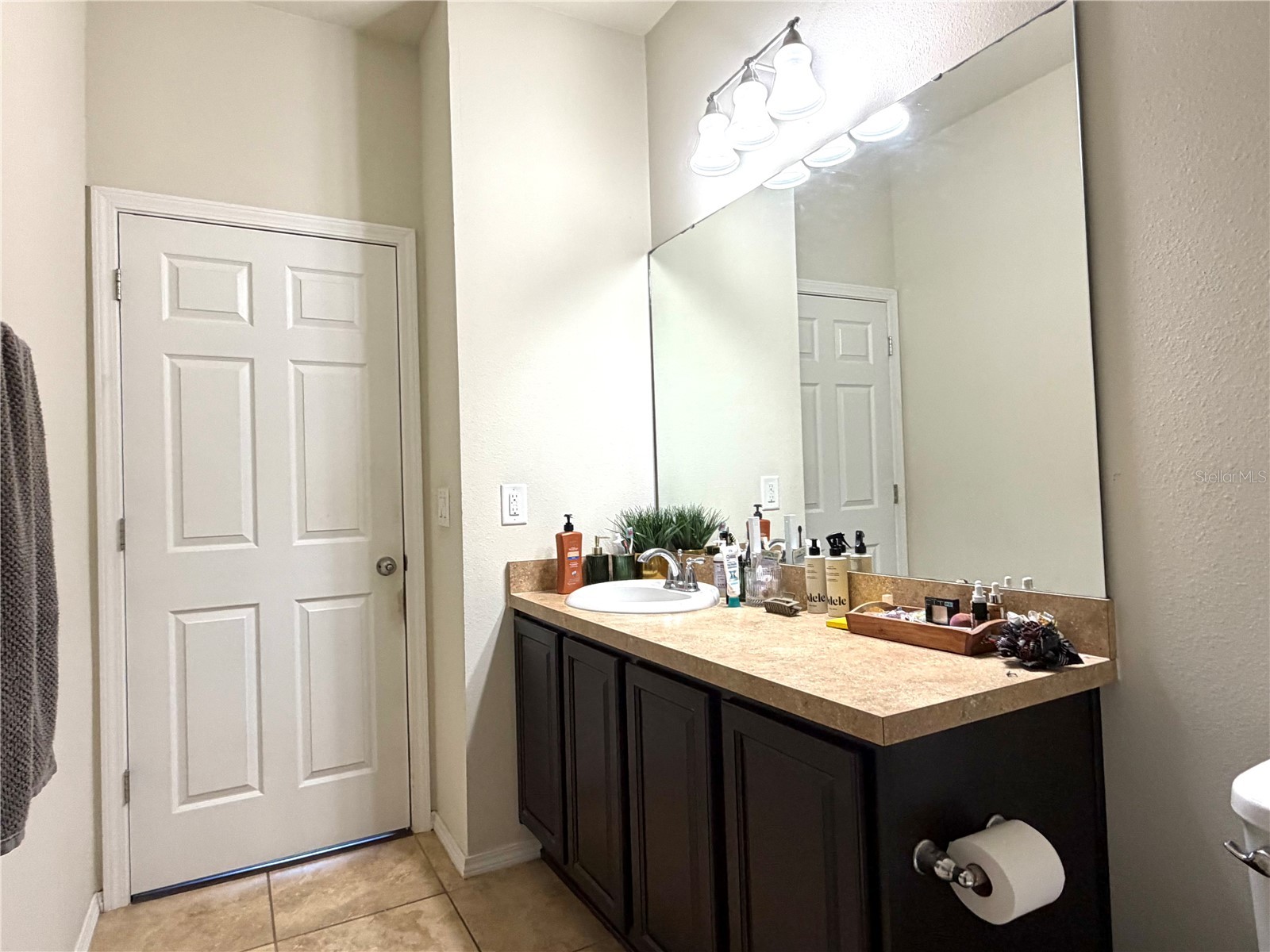 707 Petal Mist Lane Brooksville FL 34604 TB8466184 image19