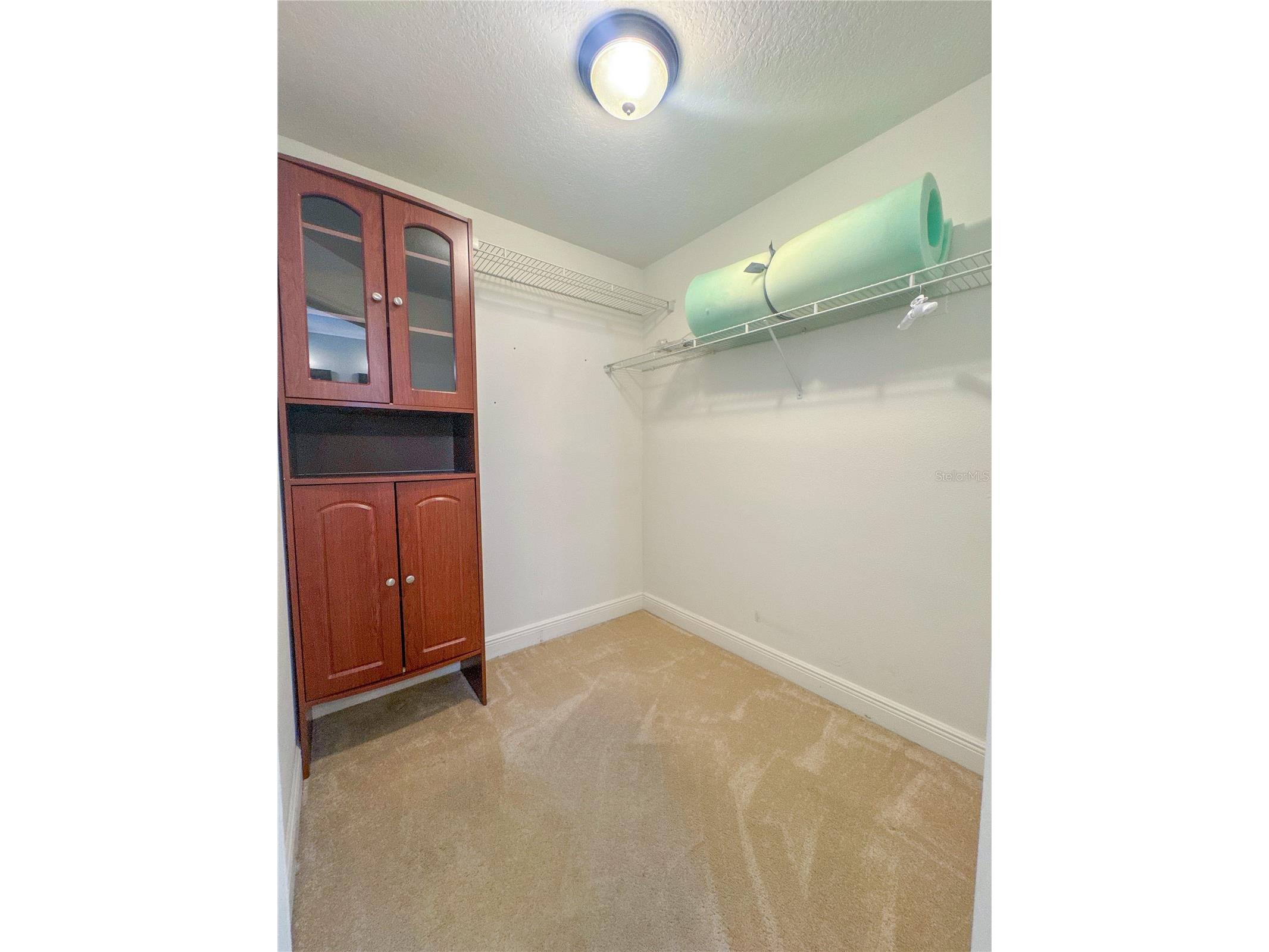 707 Powder Horn Row Lakeland FL 33809 L4961567 image35