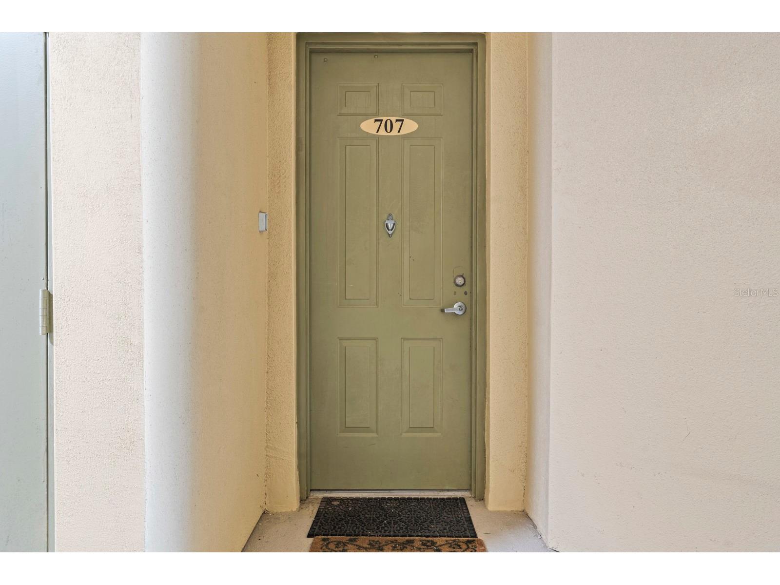 707 Terrace Ridge Circle #707 Davenport FL 33896 TB8470524 image46