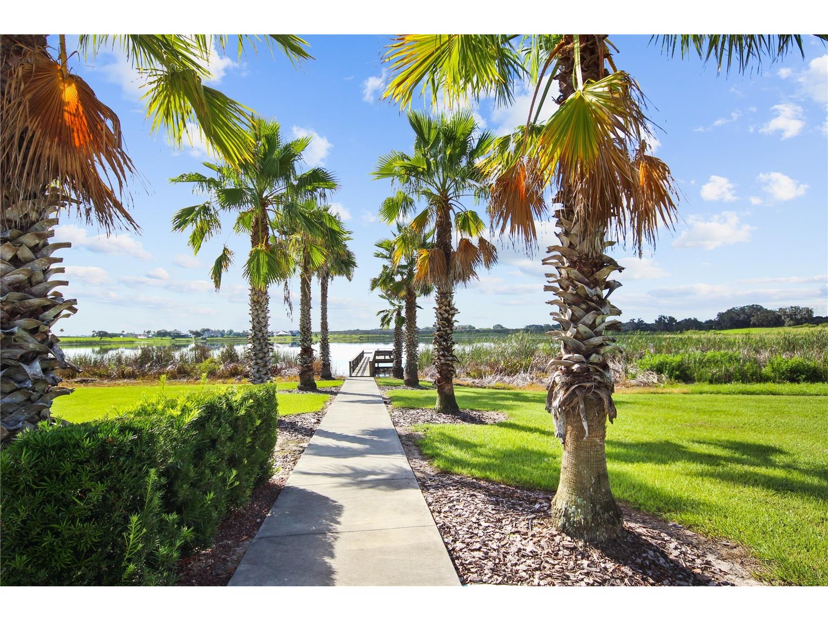 707 Waterfern Trail Drive Auburndale FL 33823 - LAKE VAN S5143931 image31