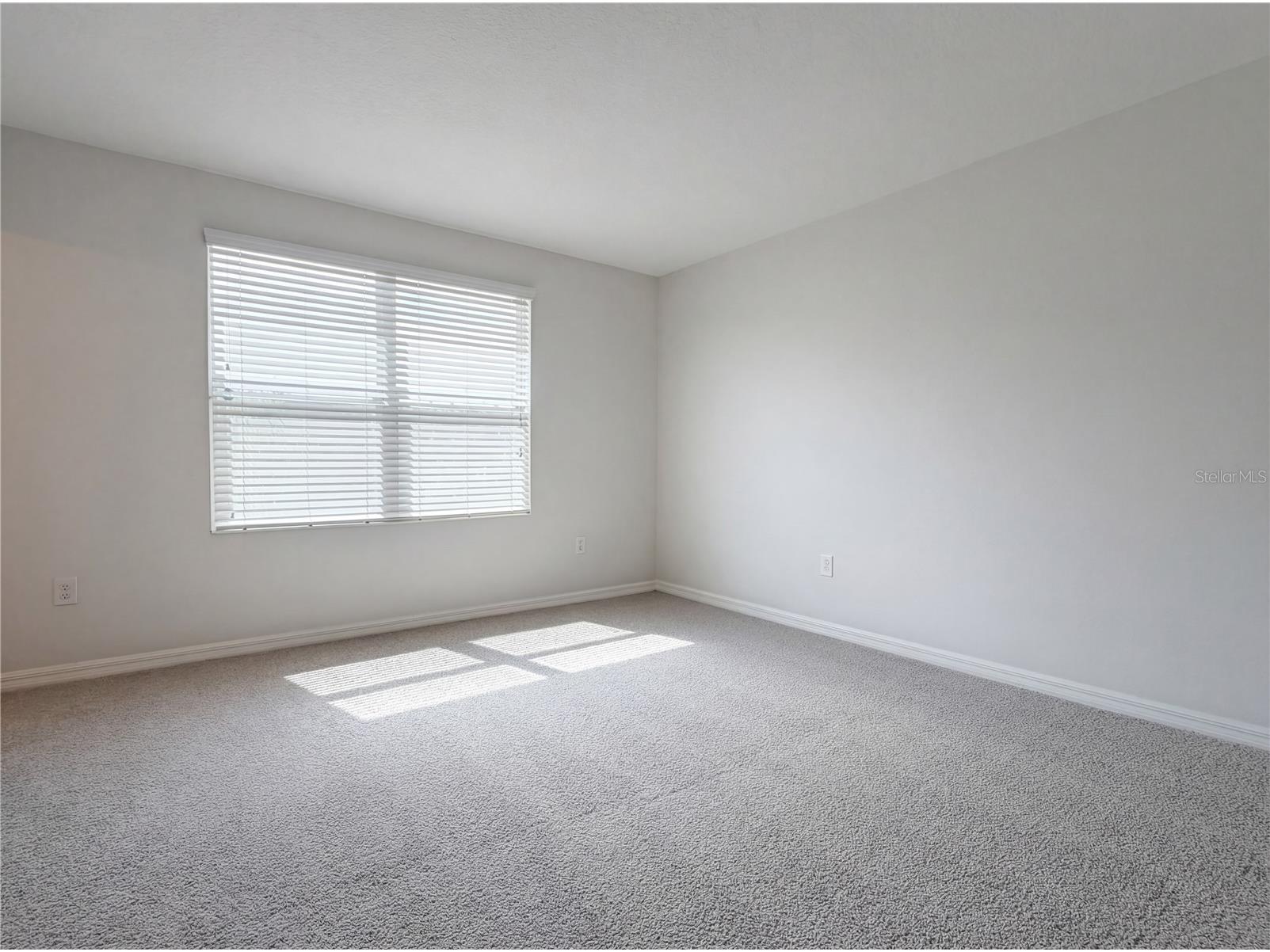 7070 Woodchase Glen Drive Riverview FL 33578 O6395343 image23