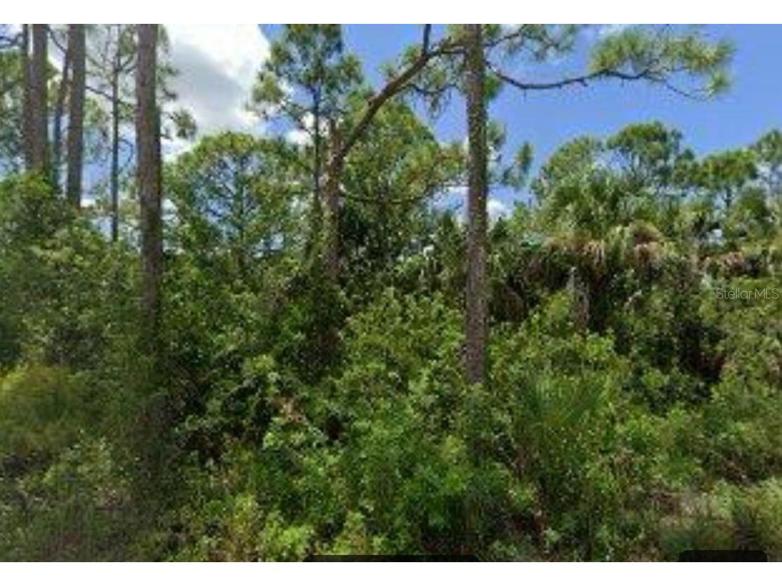 7073 Acorn Boulevard Punta Gorda FL 33982 O6160192 image1