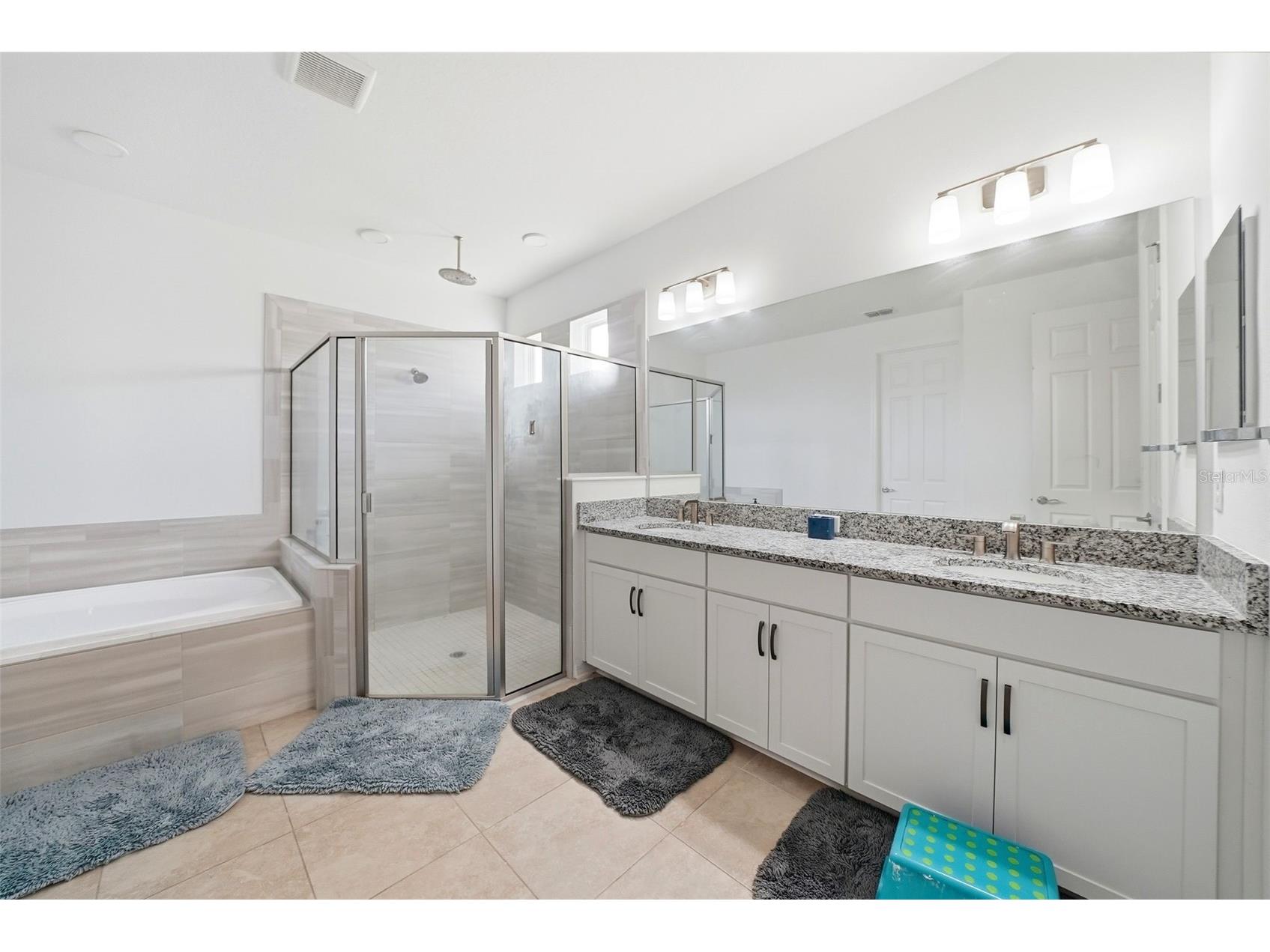 7073 Graybrook Drive Wesley Chapel FL 33545 TB8493143 image27