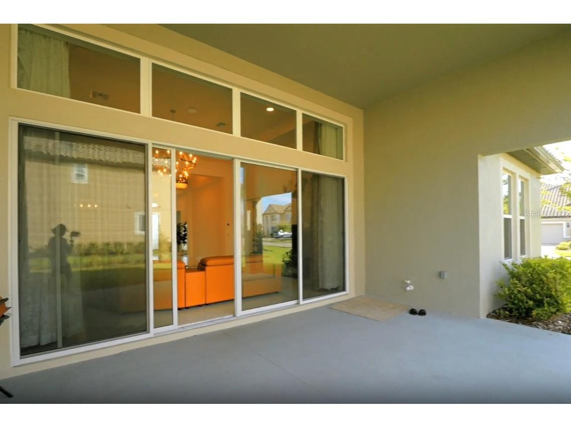7073 Graybrook Drive Wesley Chapel FL 33545 TB8493143 image39