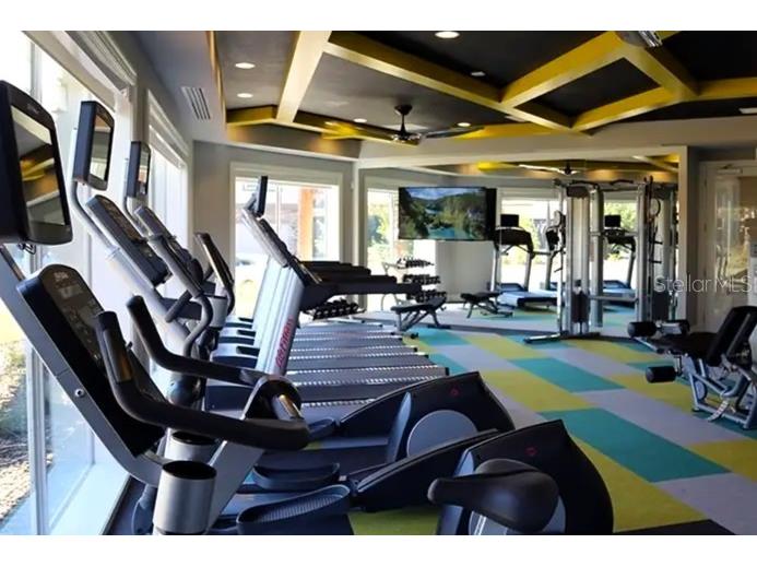 7073 Graybrook Drive Wesley Chapel FL 33545 TB8493143 image41