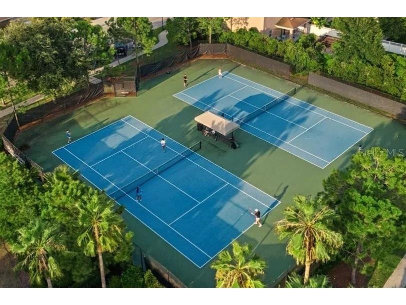 7073 Graybrook Drive Wesley Chapel FL 33545 TB8493143 image42