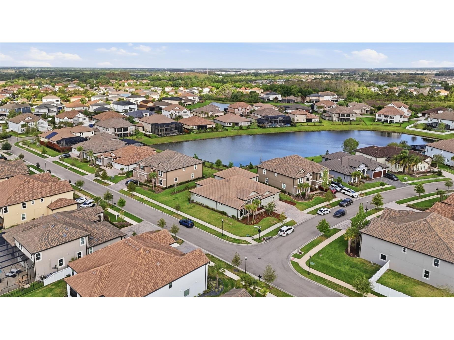 7073 Graybrook Drive Wesley Chapel FL 33545 TB8493143 image48
