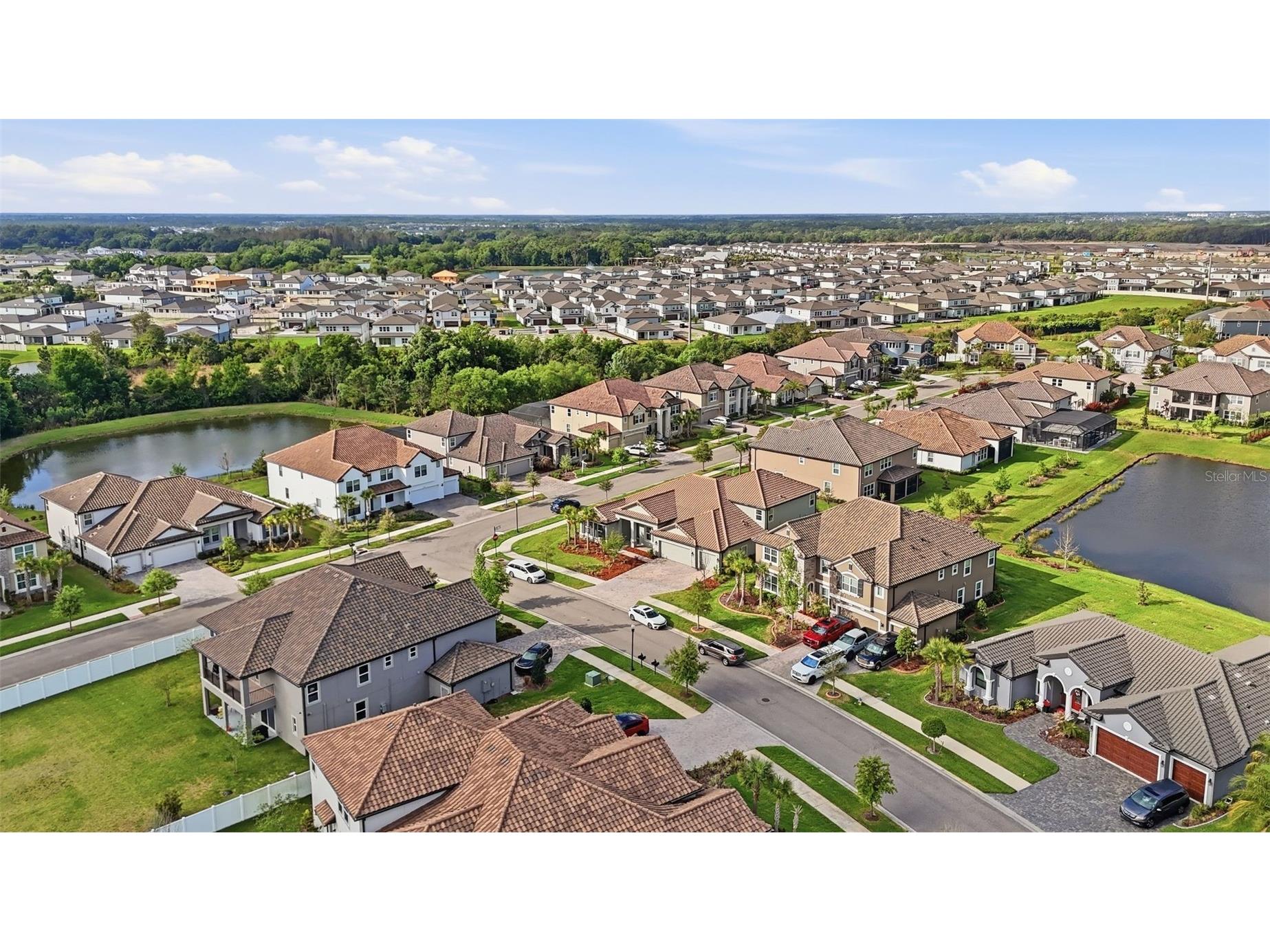 7073 Graybrook Drive Wesley Chapel FL 33545 TB8493143 image49