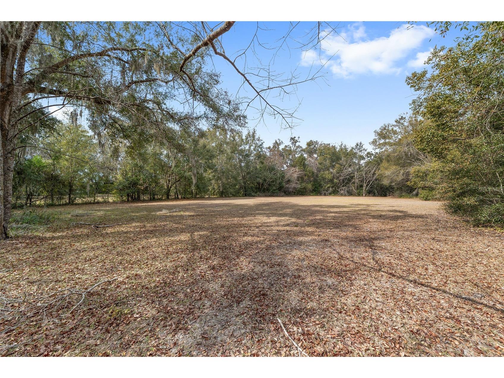 7075 SE Highway 25a Belleview FL 34420 OM718097 image33