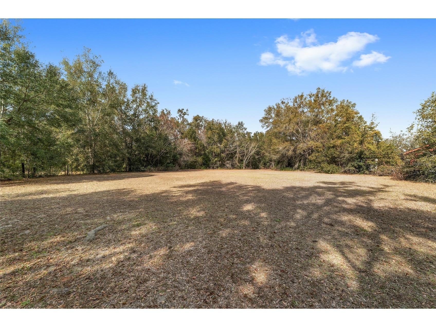 7075 SE Highway 25a Belleview FL 34420 OM718097 image34