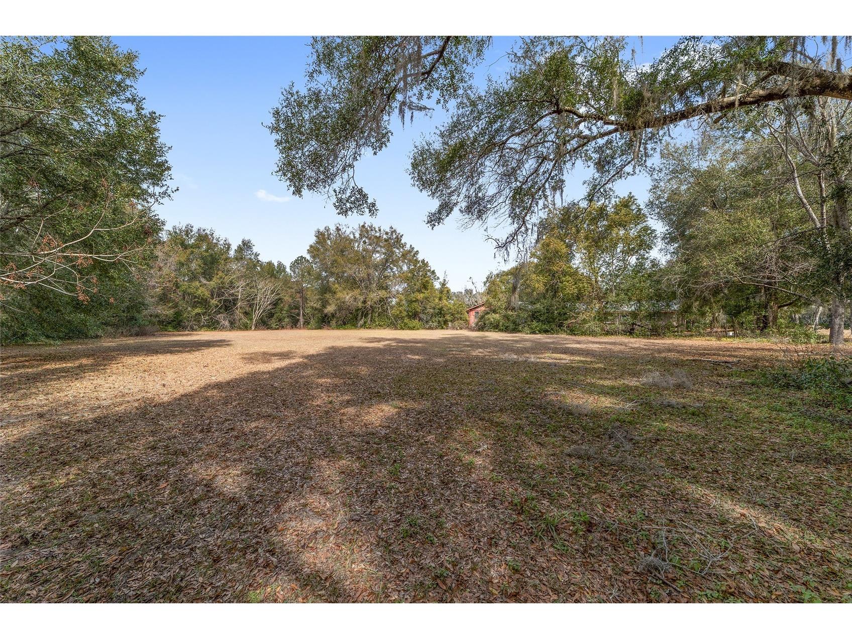 7075 SE Highway 25a Belleview FL 34420 OM718097 image35