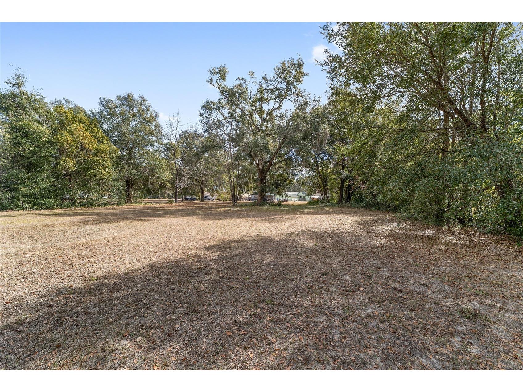 7075 SE Highway 25a Belleview FL 34420 OM718097 image4