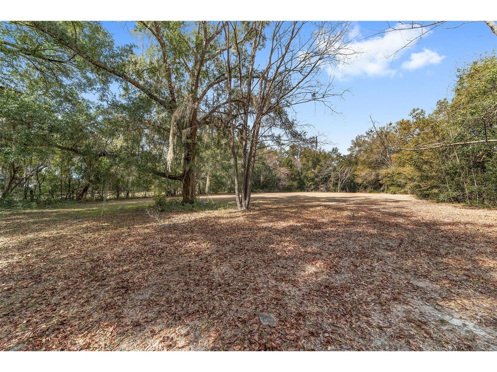 7075 SE Highway 25a Belleview FL 34420 OM718097 image5