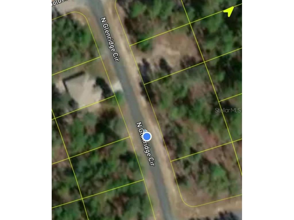 7079 N Glenridge Circle Citrus Springs FL 34434 J986426 image1