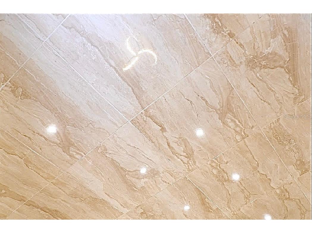 708 Bittern Way Kissimmee FL 34759 S5134278 image11